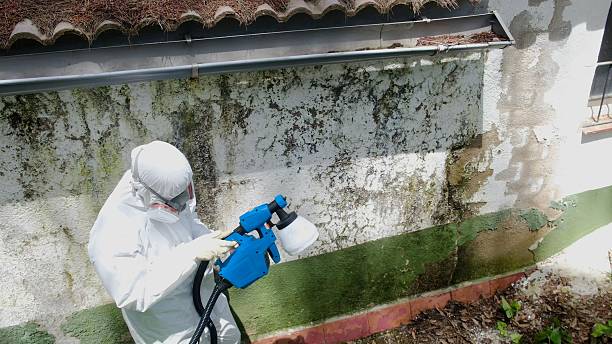Top rated local Commercial Mold Remediation specialists in Blain, PA